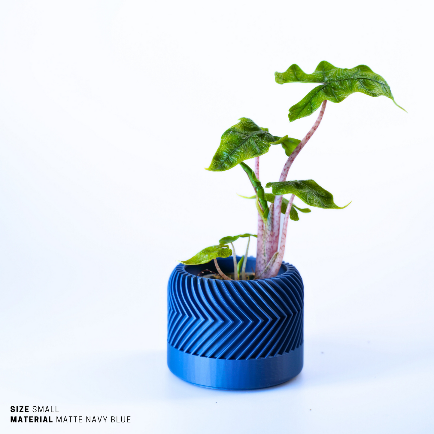 Planter - Sustainable Stylish Planter Pot - 14