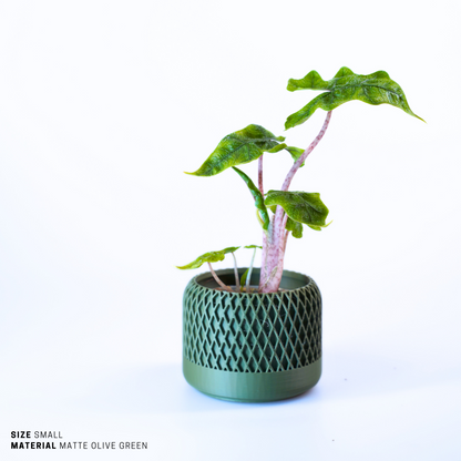 Planter - Sustainable Stylish Planter Pot - 2