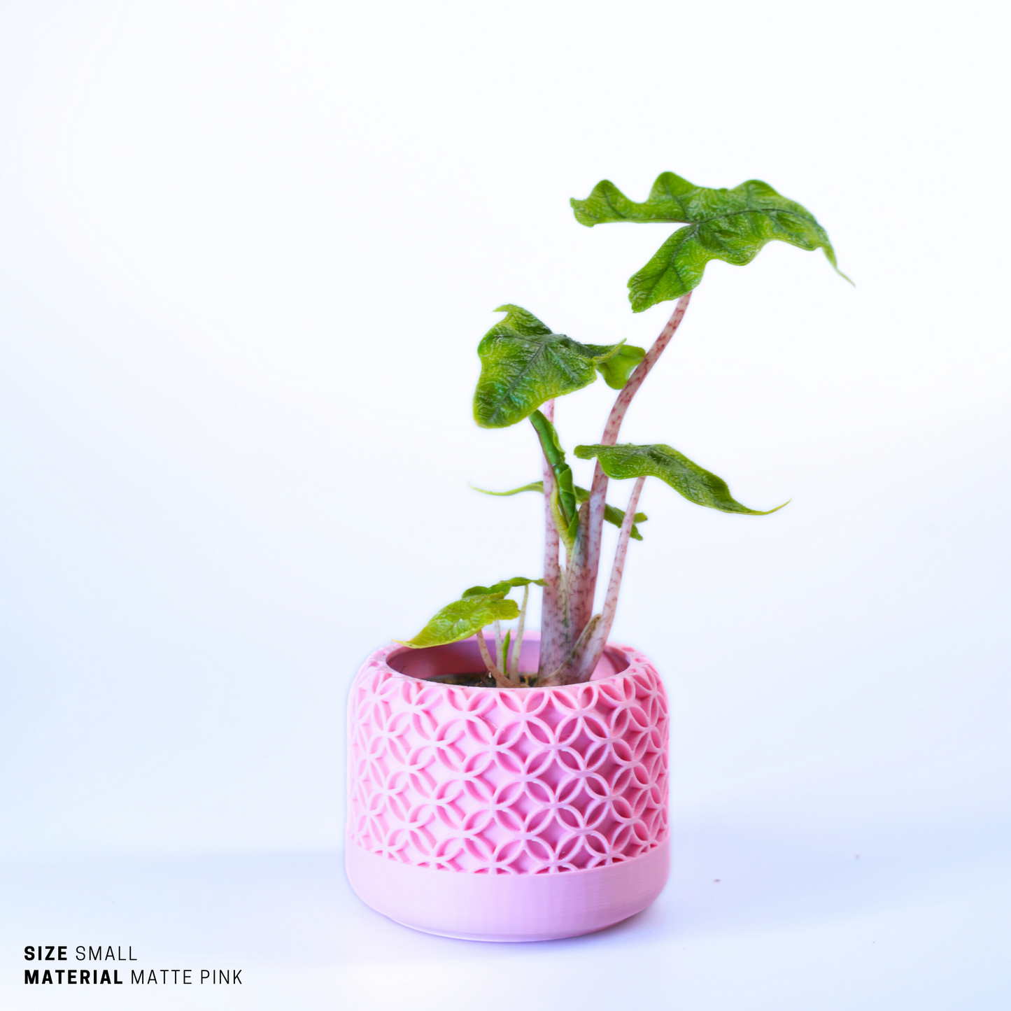 Planter - Sustainable Stylish Planter Pot - 3