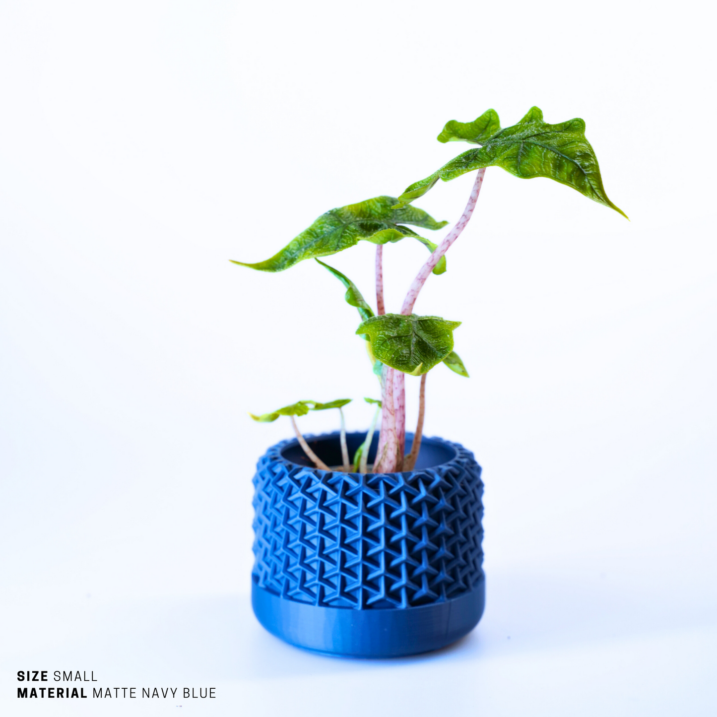 Planter - Sustainable Stylish Planter Pot - 9
