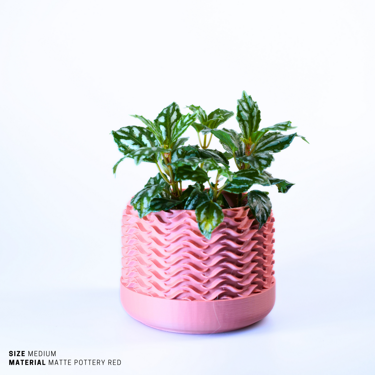 Planter - Sustainable Stylish Planter Pot - 8
