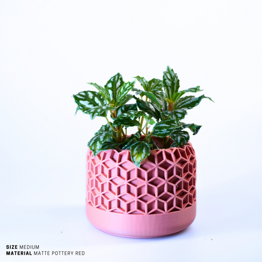Planter - Sustainable Stylish Planter Pot - 4