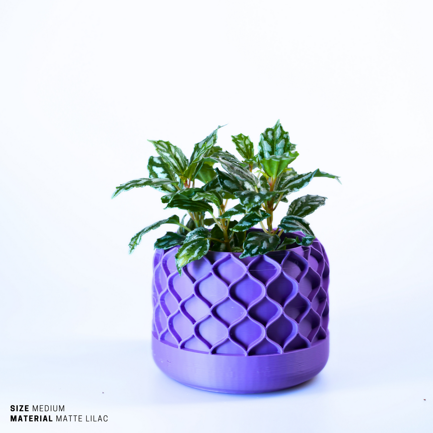 Planter - Sustainable Stylish Planter Pot - 6