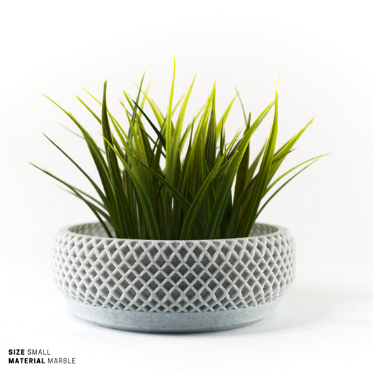 Succulent, Terrarium Garden & Moss Bowl Pot - 4