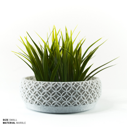 Succulent, Terrarium Garden & Moss Bowl Pot - 3
