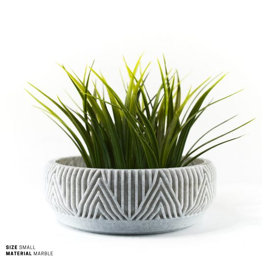 Succulent, Terrarium Garden & Moss Bowl Pot - 1