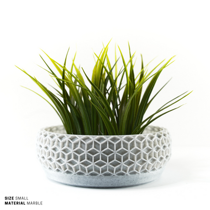 Succulent, Terrarium Garden & Moss Bowl Pot - 6