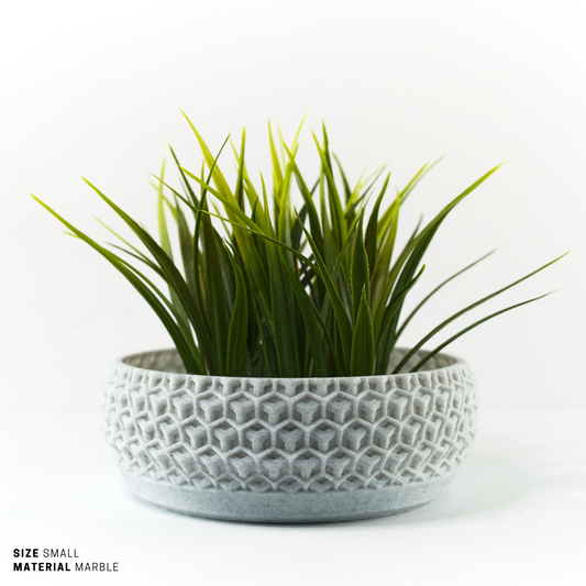 Succulent, Terrarium Garden & Moss Bowl Pot - 12