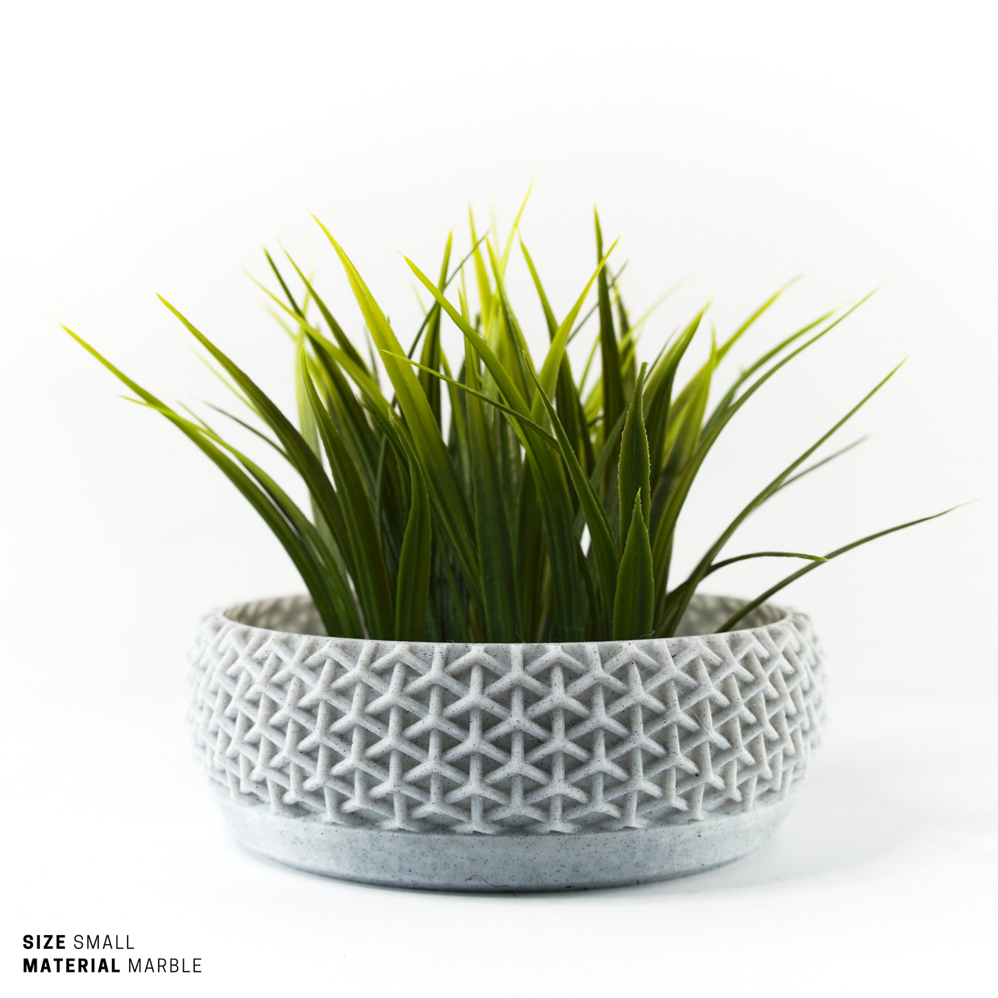 Succulent, Terrarium Garden & Moss Bowl Pot - 7