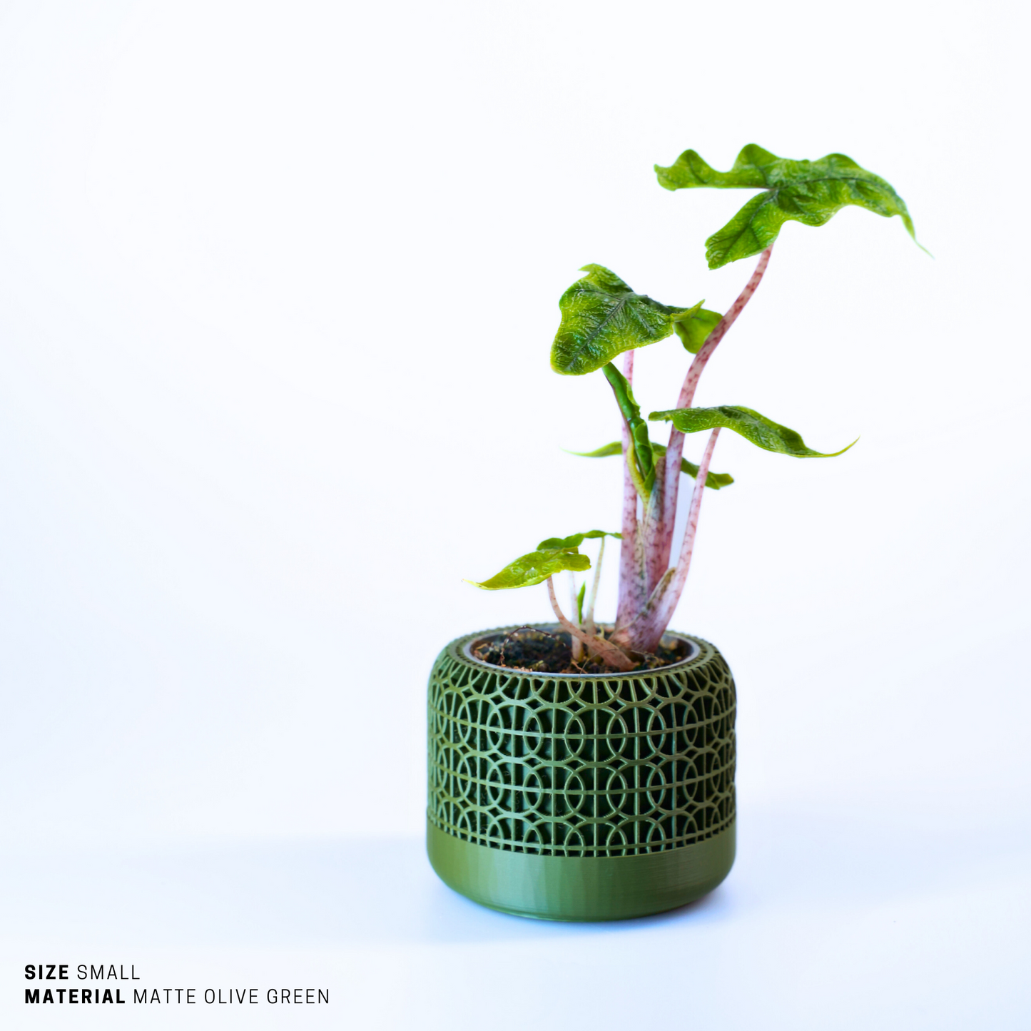 Planter - Sustainable Stylish Planter Pot - 5